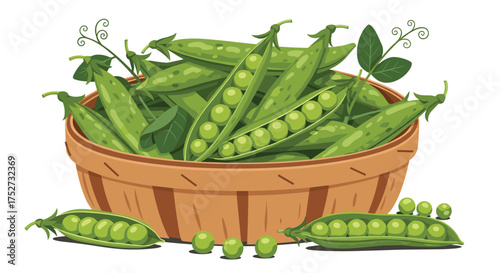 A bountiful harvest of fresh green peas displayed in a rustic woven basket.