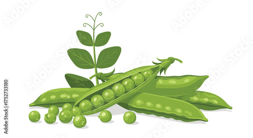Fresh green peas in pods with leaves and sprouts on a white background.