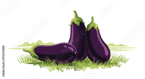 Fresh ripe eggplants growing in a lush green field on a bright sunny day.
