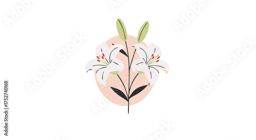 White lilies illustration on pink circle background  
