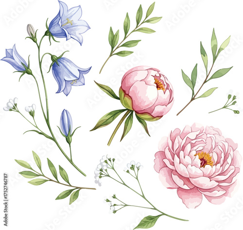 Watercolor Floral Clipart Set: Peony, Blue Bellflowers, and Greenery

