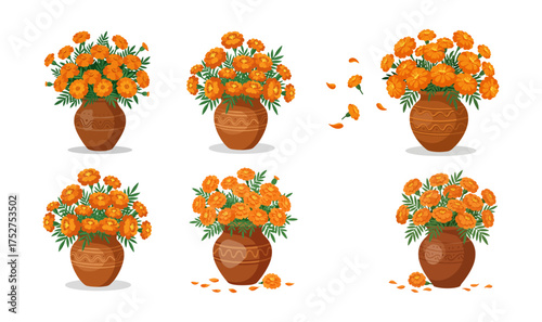 Set of Marigold Flower Arrangements for Dia de los Muertos in Clay Pots