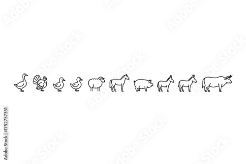 Outline icons of farm animals including goose, turkey, duck, sheep, horse, pig, donkey, bull in simple linear style, rural livestock vector set, agriculture and farming symbols