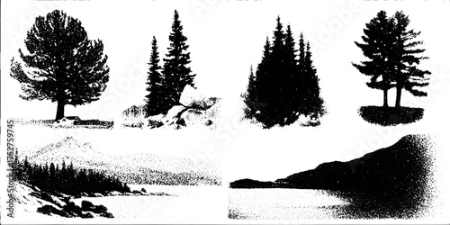 Silhouette of trees in an engraved style. Vintage black and white vector illustration showing a natural landscape set.