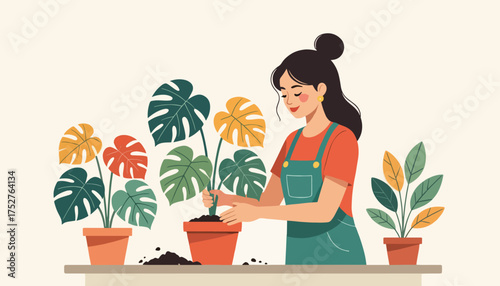 Woman gardening and potting a monstera houseplant. Modern flat design vector illustration of a person enjoying a horticulture hobby