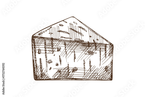 Hand drawn vintage sketch of blue cheese wedge with mold texture, detailed gourmet dairy illustration in monochrome style