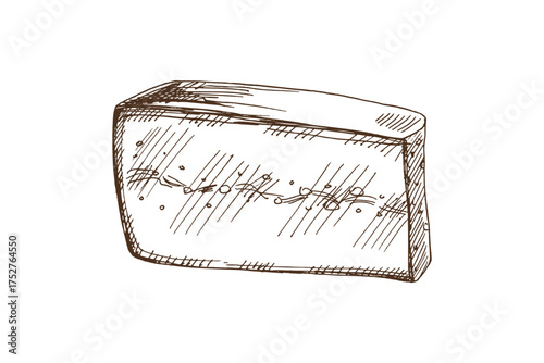 Hand drawn vintage sketch of morbier cheese wedge with ash line, detailed dairy food illustration in monochrome style