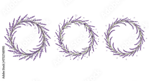 Beautiful natural lavender flower wreaths arranged in a row for decorative purposes.