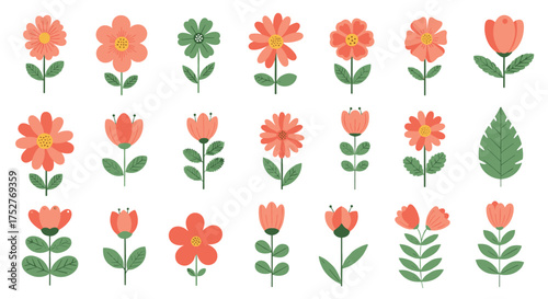 A collection of charming coral and pink colored floral illustrations with green stems and leaves.