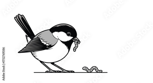 A small bird with black head and white cheeks eats a worm it found on the ground.
