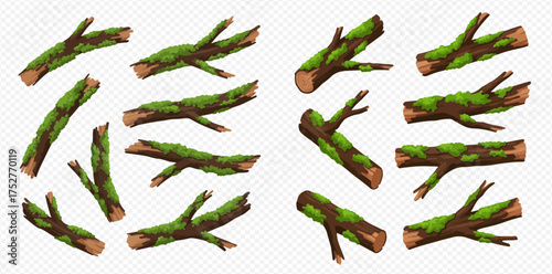 Collection of mossy tree branches and logs, isolated on a transparent background.