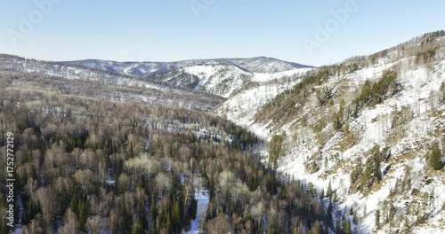 Thick evergreen trees cover mountain ridges creating patterns on white slopes. Striking contrast brings depth and beauty to winter scenery