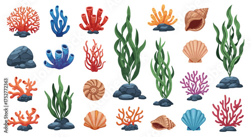 Collection of colorful coral reefs and seashells for ocean decoration.