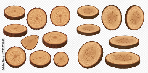 A collection of wooden tree trunk slices in various shapes and sizes.
