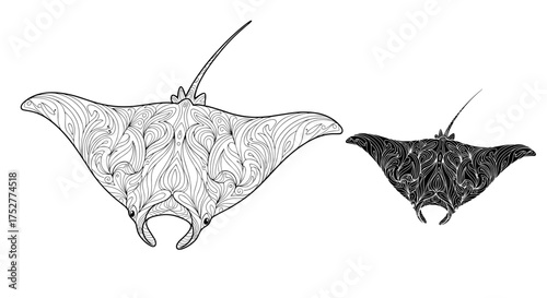 Two distinct manta ray species swimming gracefully in the vast ocean depths