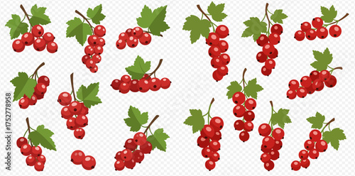 Illustration of redcurrant bunches with green leaves on a transparent background.