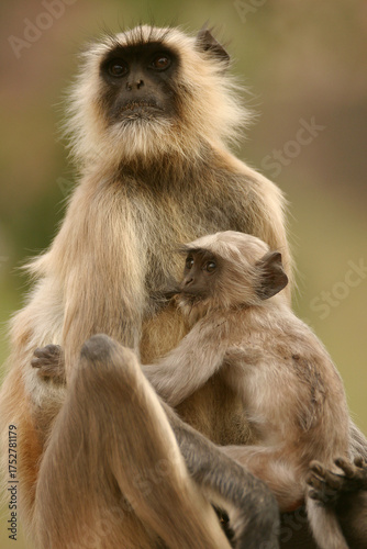Photography mother and baby
