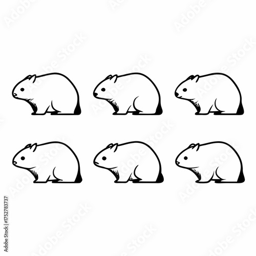 Six wombat in a row and column, , in a simple black and white illustration