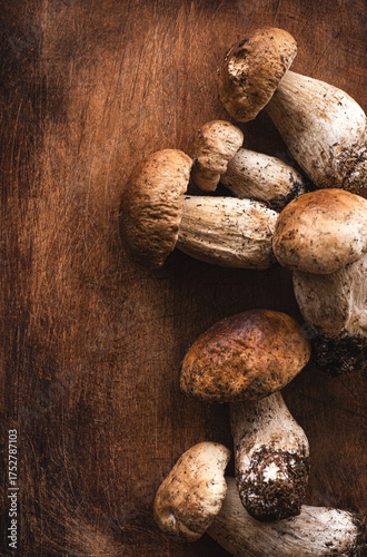 Wallpaper Mural Porcini mushrooms or Boletus edulis  on a dark brown wooden background. Forest organic food, white noble mushrooms Torontodigital.ca