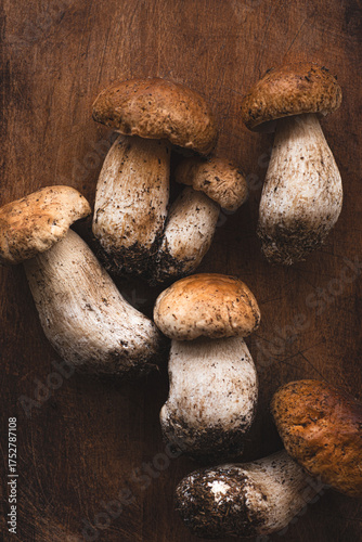 Wallpaper Mural Porcini mushrooms or Boletus edulis  on a dark brown wooden background. Forest organic food, white noble mushrooms Torontodigital.ca