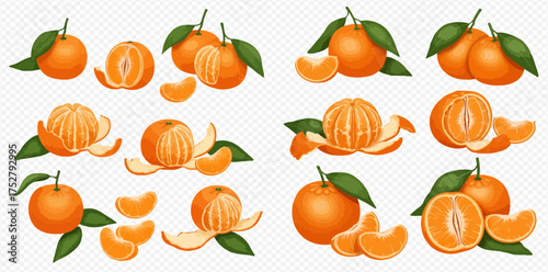 Collection of vibrant and juicy mandarin oranges with leaves and segments.