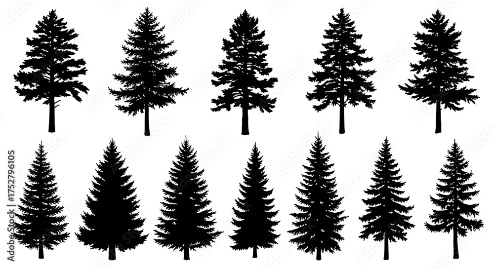 Fototapeta premium Vector art of collection of black pine tree silhouettes
