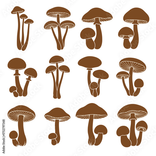 Collection of detailed brown mushroom illustrations in a simple cartoon style featuring various shapes and sizes of fungi on a white background.