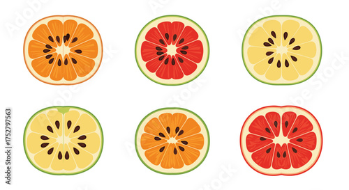 A visually appealing collection of sliced citrus fruits showcasing vibrant colors and textures.