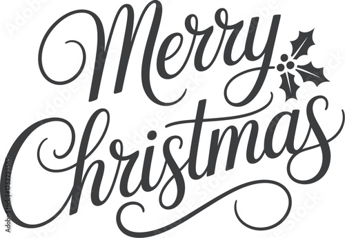 Merry christmas calligraphy vector festive holiday season art