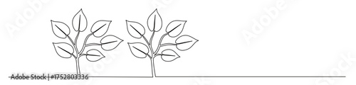Continuous line art of an ornamental plant with dense leaves. Vector illustration