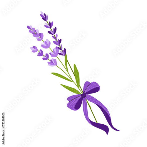Vector lavender bouquet tied with purple ribbon and bow. Minimalistic floral illustration for cosmetics packaging, spa branding, natural products, greeting cards, women's party invitations.