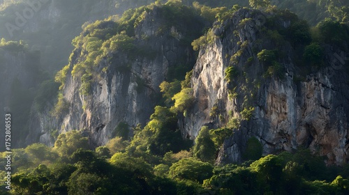 Limestone Cliffs with Jungle