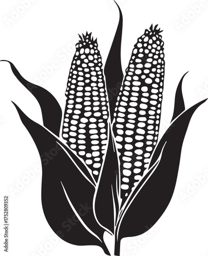 Stylized corn cobs with husks vector in black and white, agricultural food crop illustration for farming use
