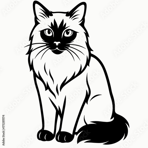 Balinese cat with affectionate mood, sitting elegantly in minimalist style