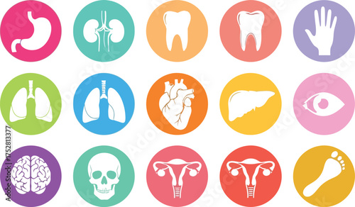 Vibrant collection of colorful icons representing human organs and body parts for medical and health concepts.