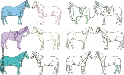 Collection of horse illustrations showcasing various equestrian gear and attire