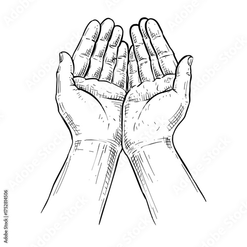 two hands palm gesture pray vector line art hand drawn illustration