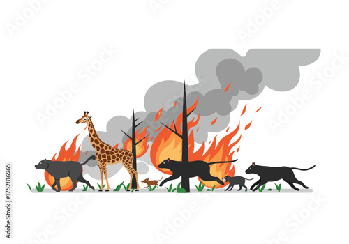 Animals escaping a wildfire including giraffe dogs and panthers.