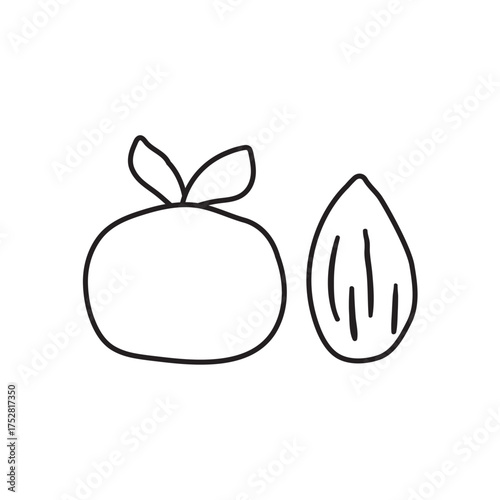 Outline icon. Vector illustration of a mandarin and nut. Holiday design for traditional gifts for Sinterklaas.
