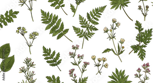 This exquisite illustration offers a seamless pattern in a botanical study style, featuring highly detailed watercolor renderings of diverse plant species.