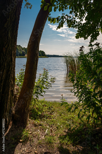 Blick vom Storkower Strandbad Richtung Südosten auf den 