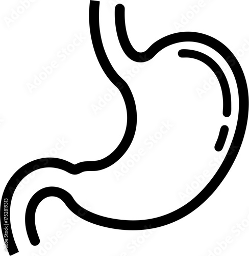 Human stomach anatomical illustration graphic
