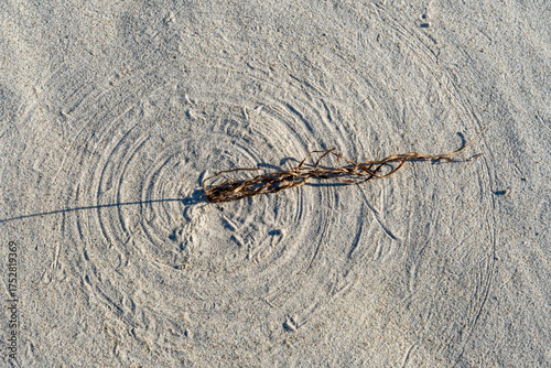 Fototapeta Naklejka Na Ścianę i Meble -  Natural structures and sand patterns on the Baltic Sea beach creating organic textures and coastal background design