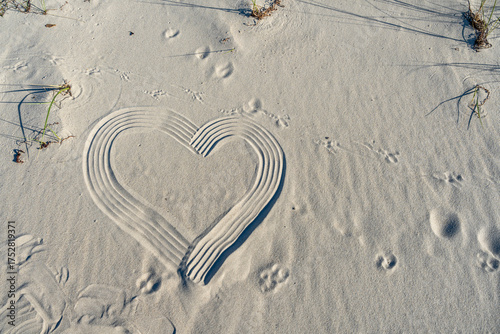 Fototapeta Naklejka Na Ścianę i Meble -  Close up of natural sand structures on the Baltic Sea beach showing organic patterns and textures in coastal nature