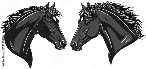 Majestic black horses in profile, showcasing elegant manes and powerful profiles.