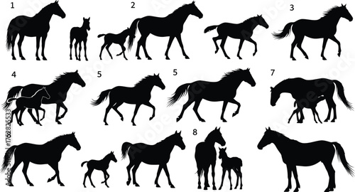 Diverse silhouettes of horses and foals showcasing different poses and ages.