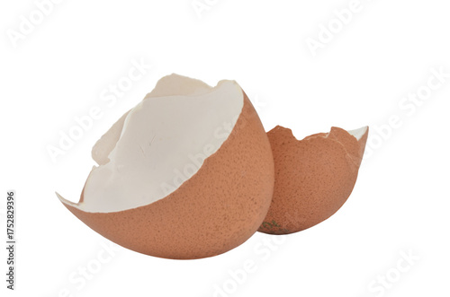 Eggshell isolated on transparent background. Food leftovers: ecology and composting education. Png file.