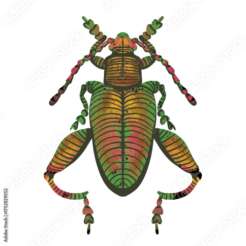 hand-drawn watercolor metallic frog legged beetle, sagra femorata, insect, bug PNG