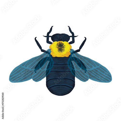 hand-drawn watercolor white cheeked carpenter bee, xylocopa aestuans, insect, bug PNG