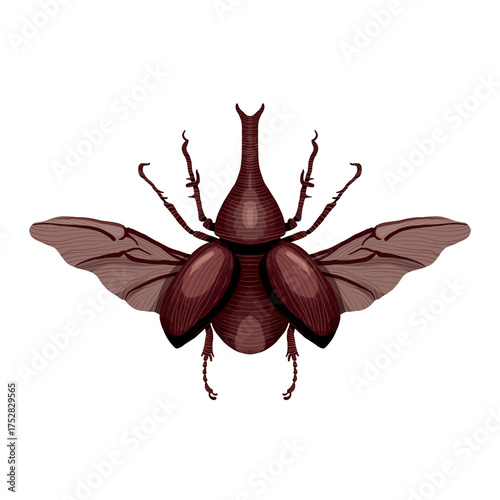hand-drawn watercolor brown rhinoceros beetle, xylotrupes gideon, insect, bug PNG